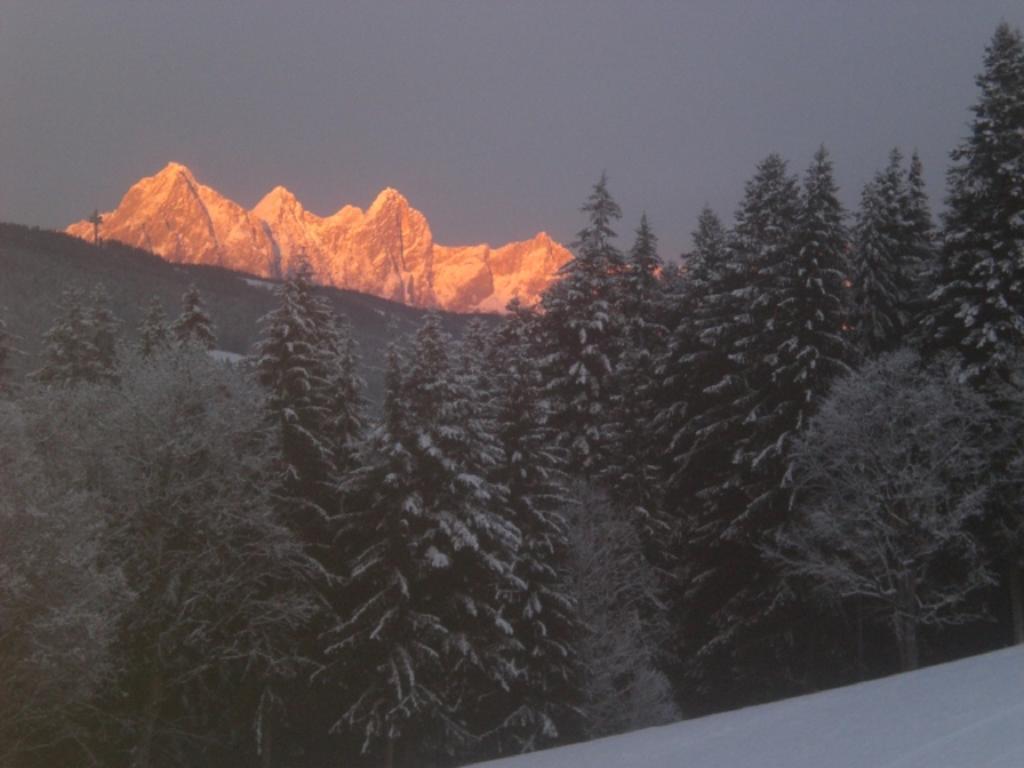 Lochgrubgut Daire Altenmarkt im Pongau Dış mekan fotoğraf