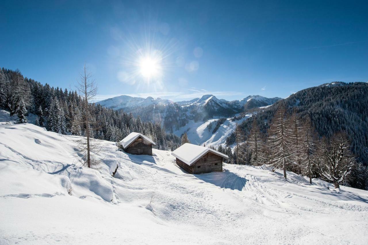 Lochgrubgut Daire Altenmarkt im Pongau Dış mekan fotoğraf